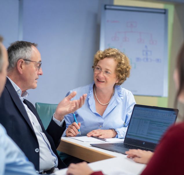 Organizational & Interim Management